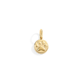 Paw Print Charm