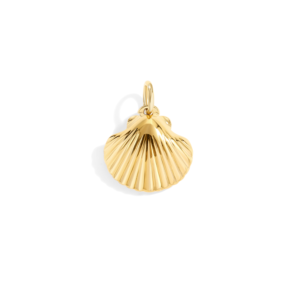 Shell Charm
