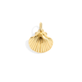 Shell Charm