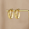 Twisted Sarah Hoop Earrings
